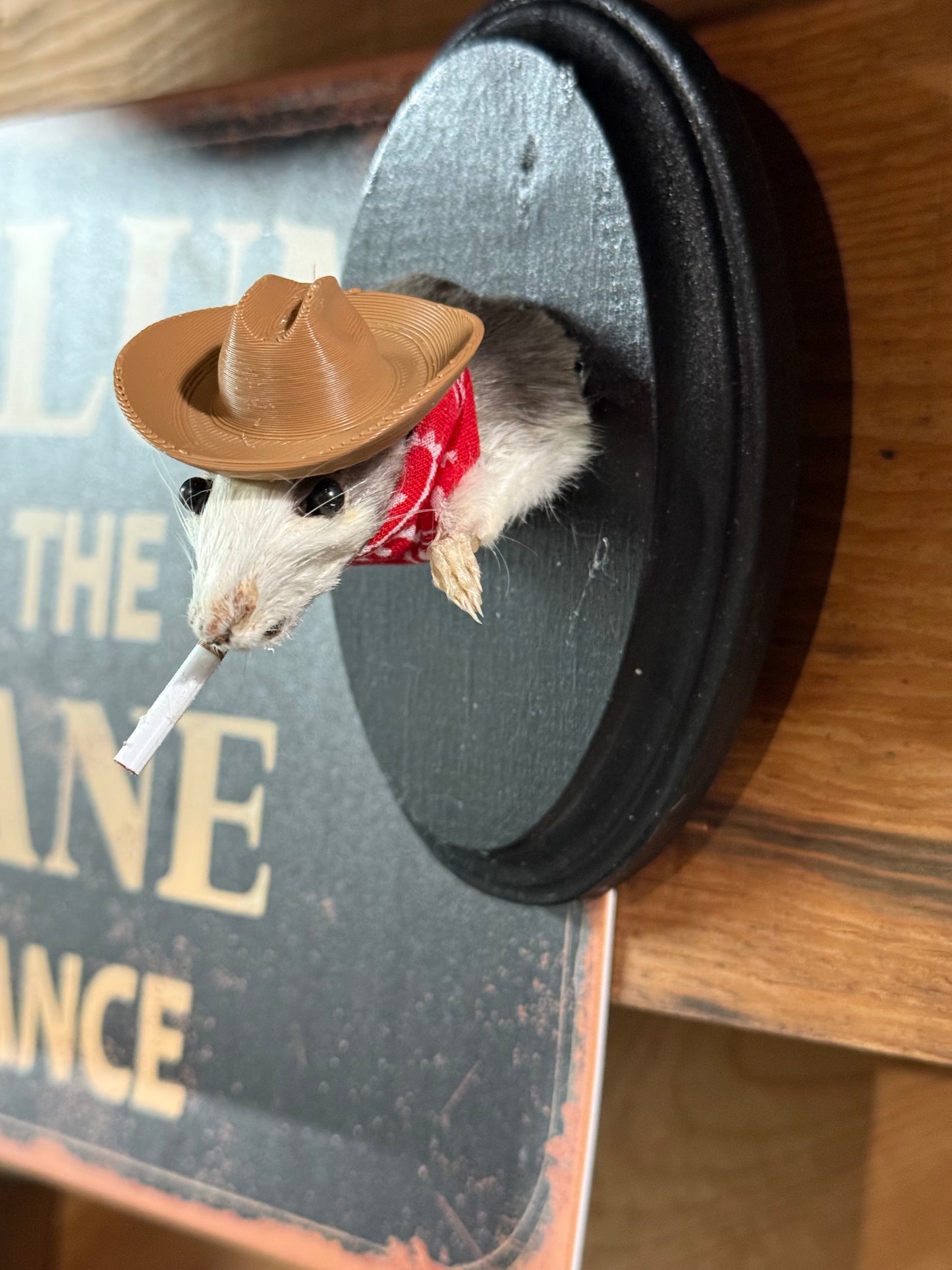 Cowboy rat