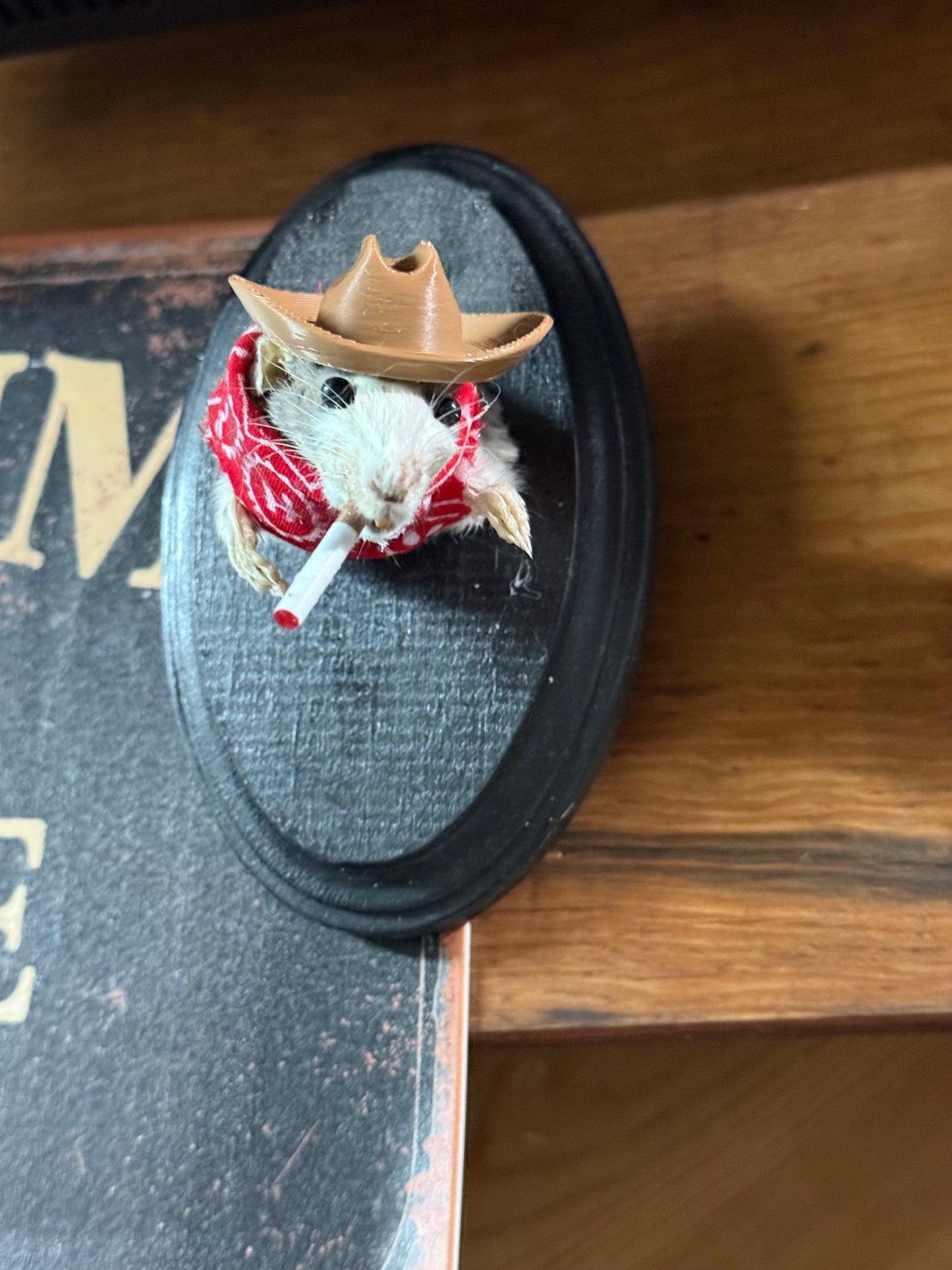 Cowboy rat