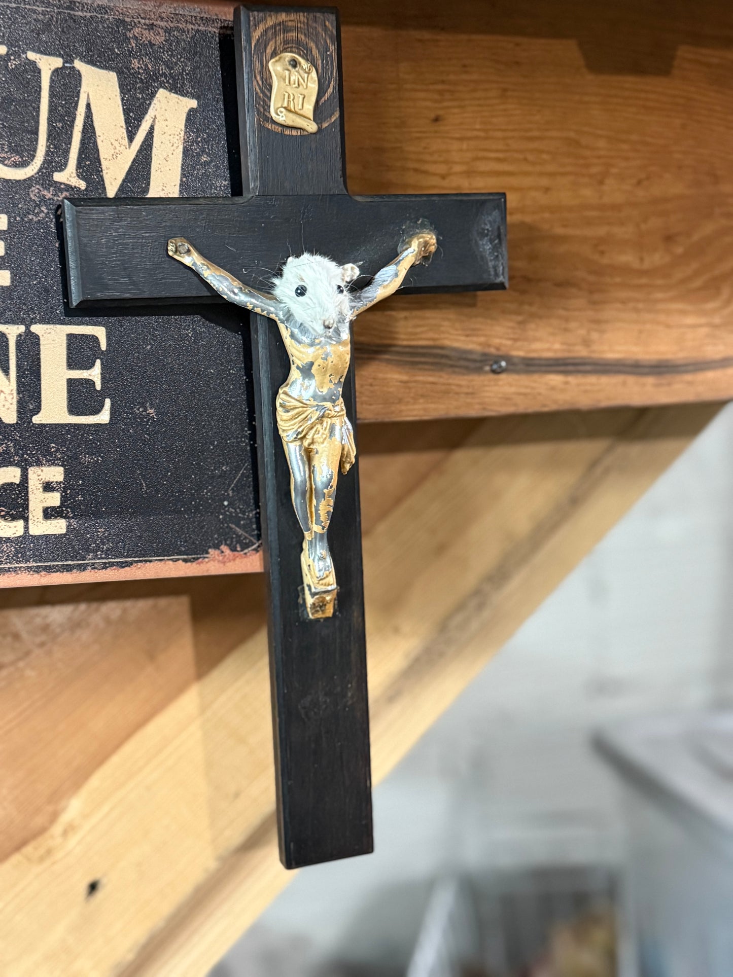 Cheezus Christ rat Jesus taxidermy