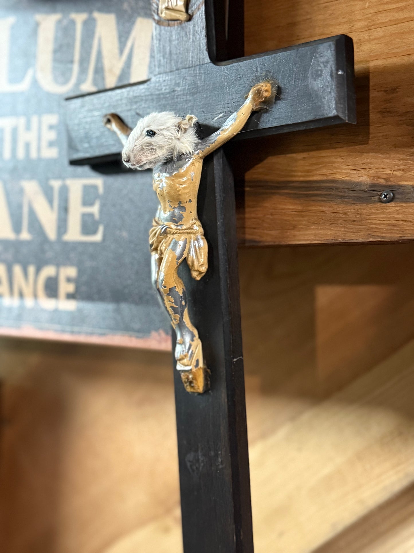 Cheezus Christ rat Jesus taxidermy
