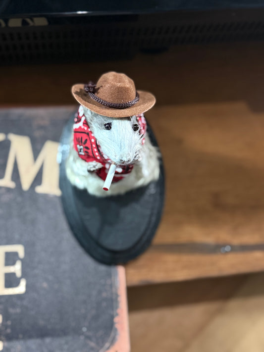 Big cowboy taxidermy rat