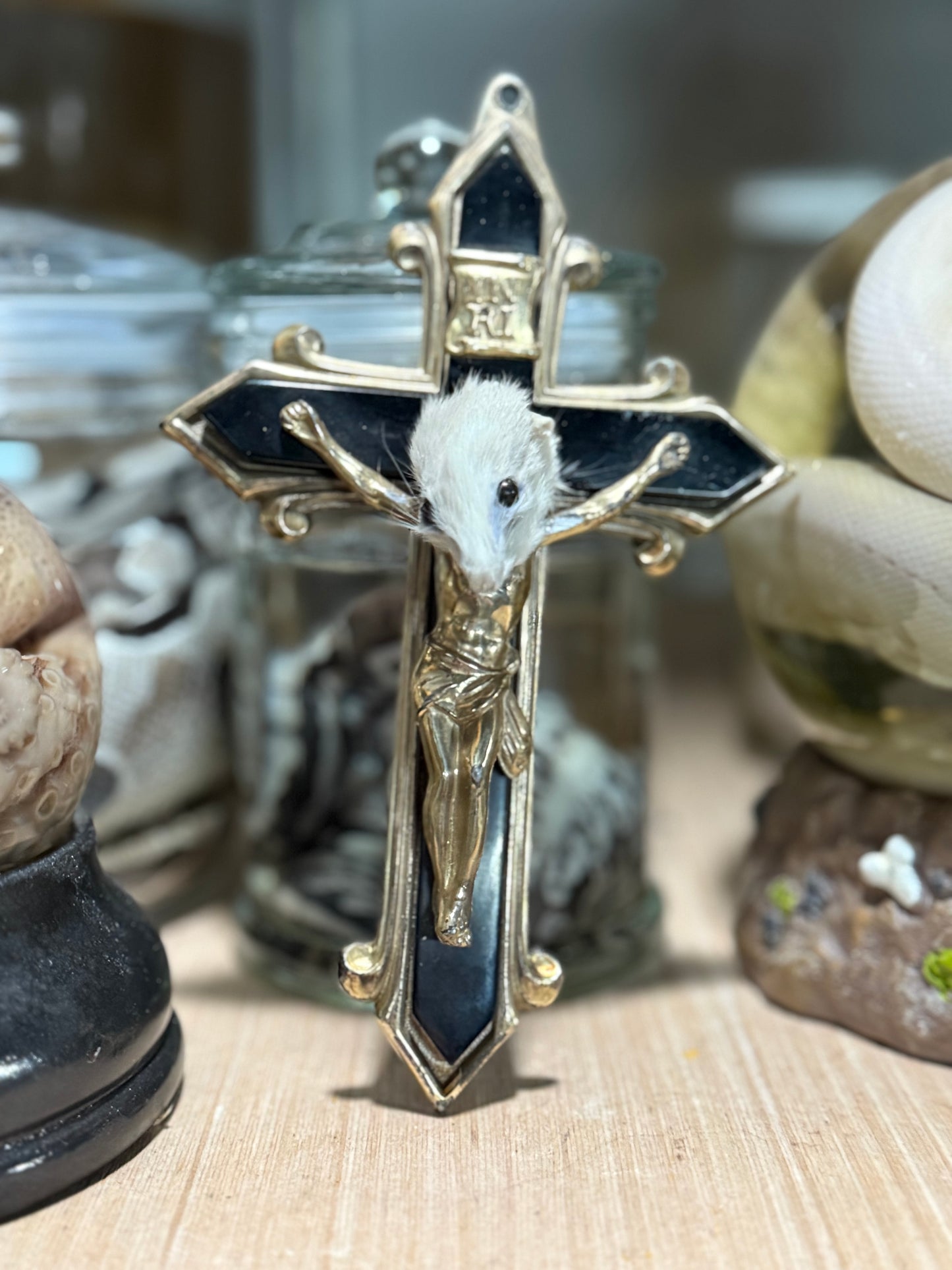 Cheezus Christ rat taxidermy - metal