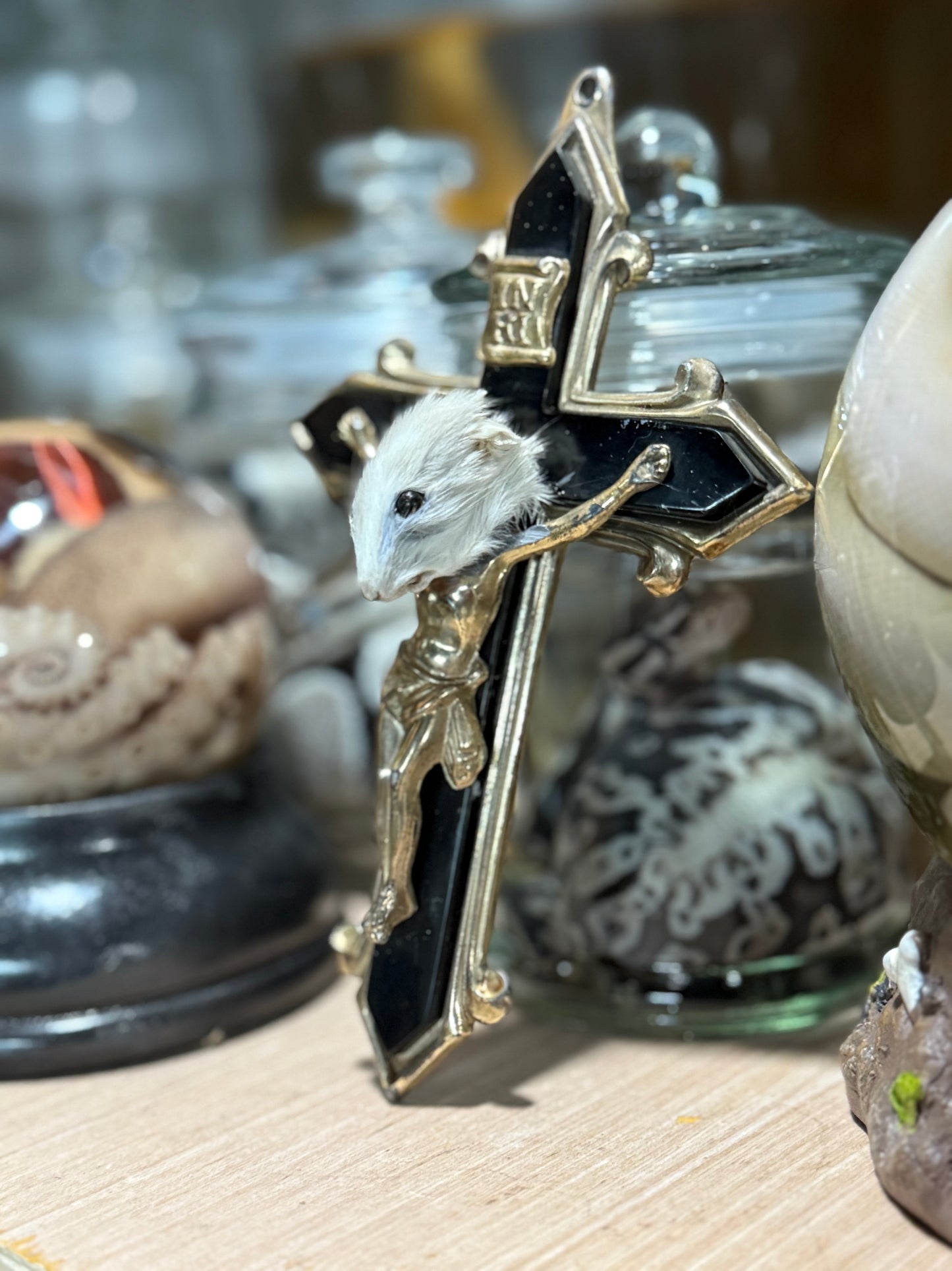 Cheezus Christ rat taxidermy - metal