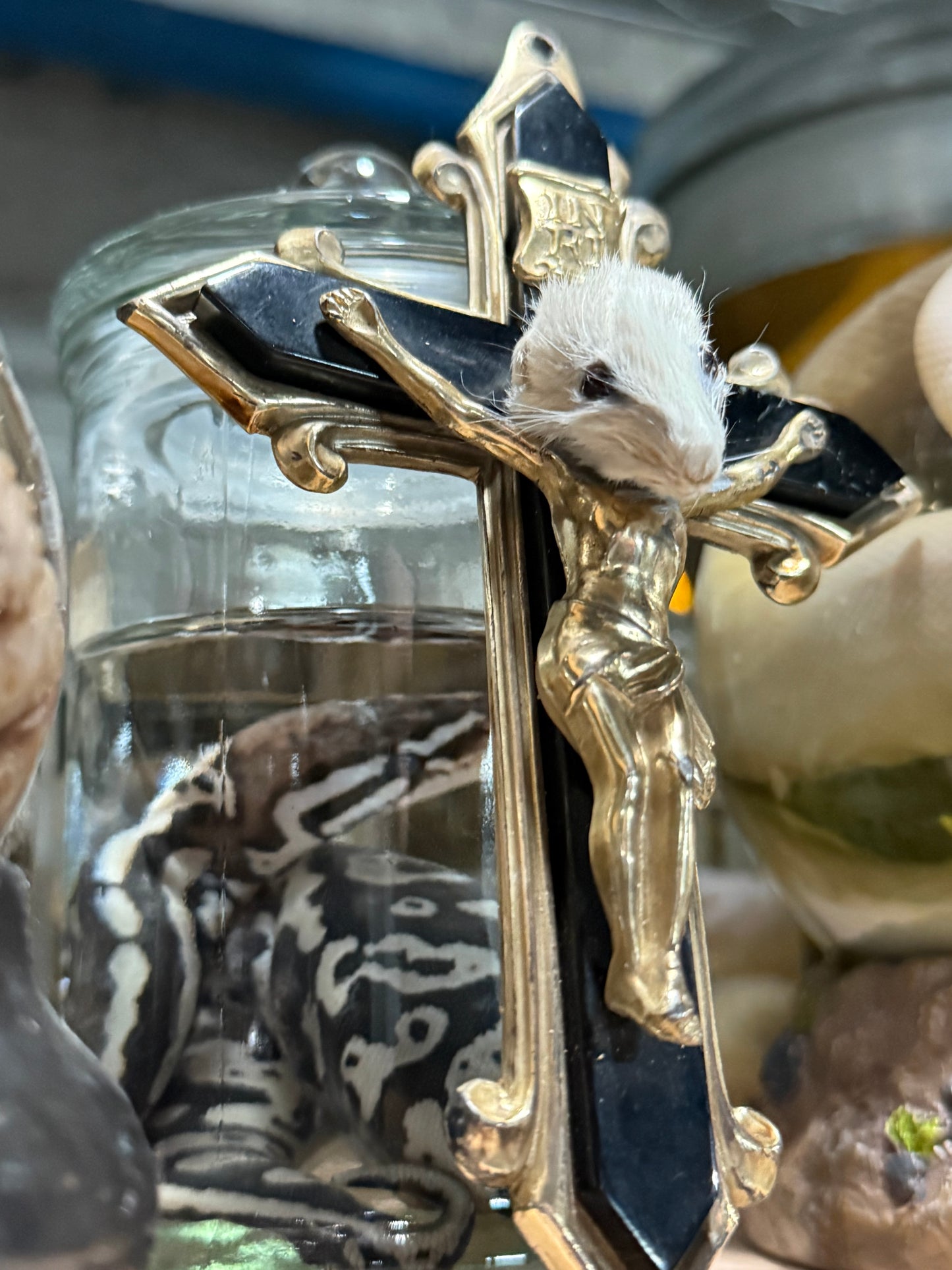 Cheezus Christ rat taxidermy - metal