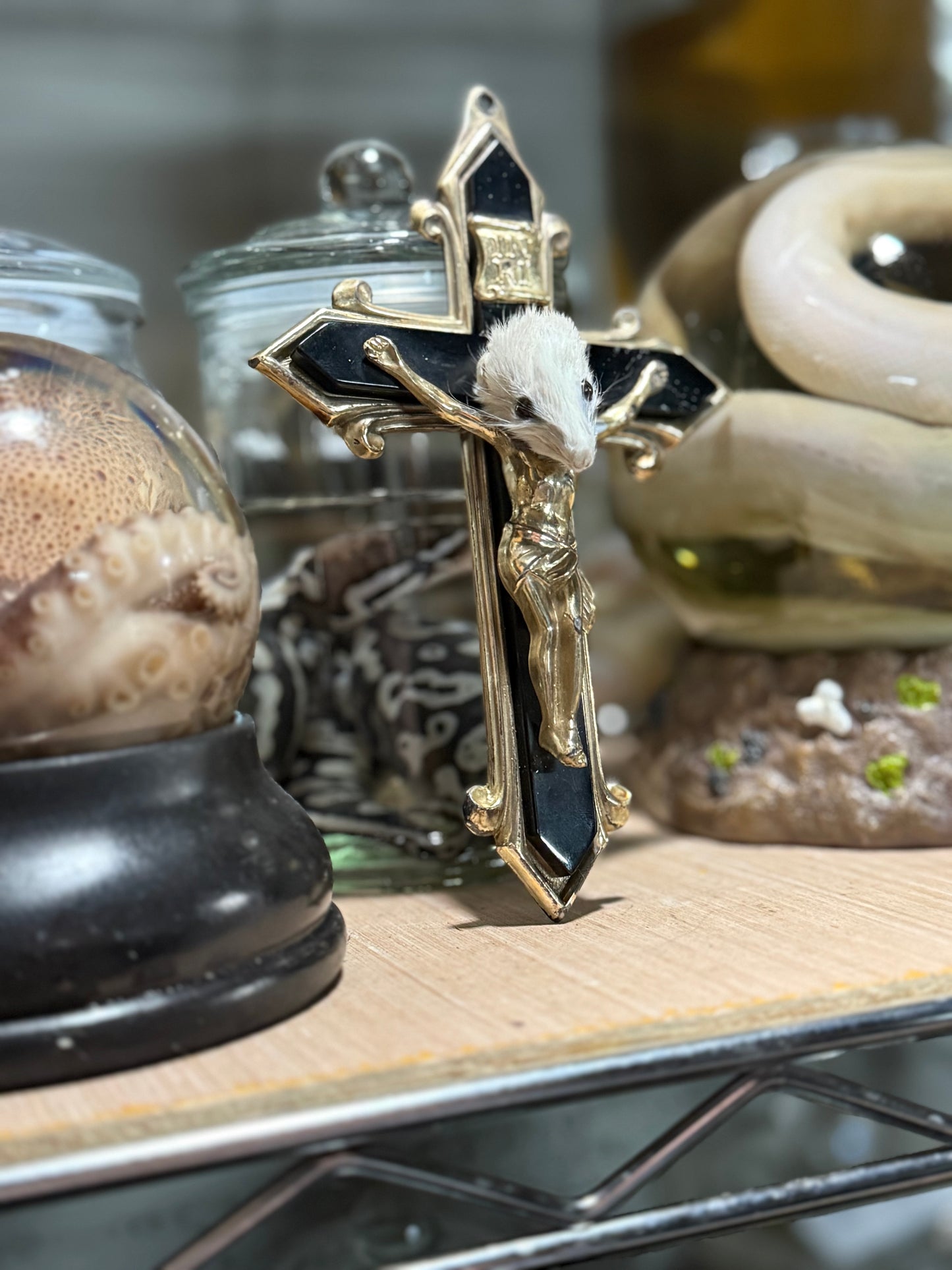 Cheezus Christ rat taxidermy - metal