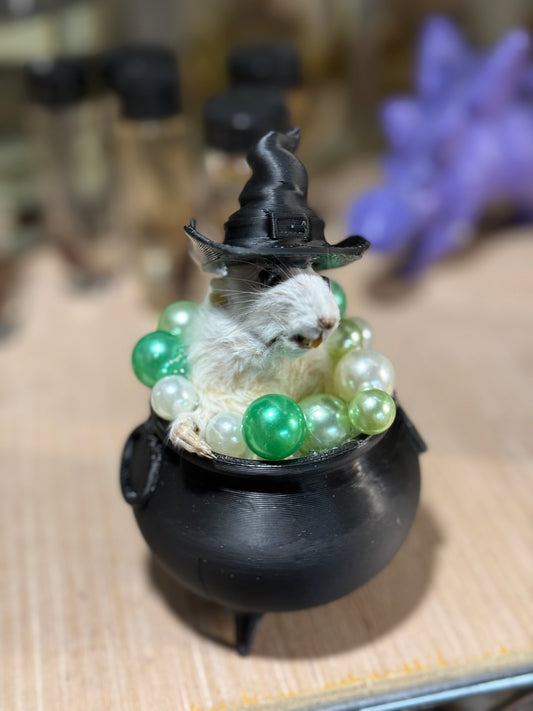 Witch rat in cauldron taxidermy